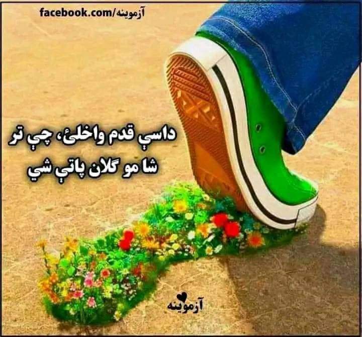 khaksar ashna