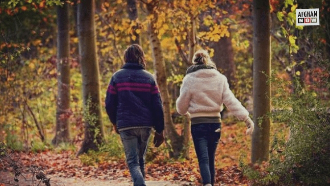 جاويد شينواري