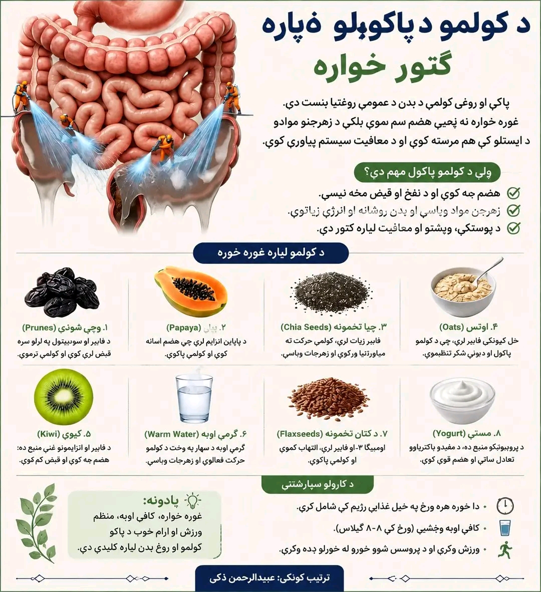 ریس خادیم