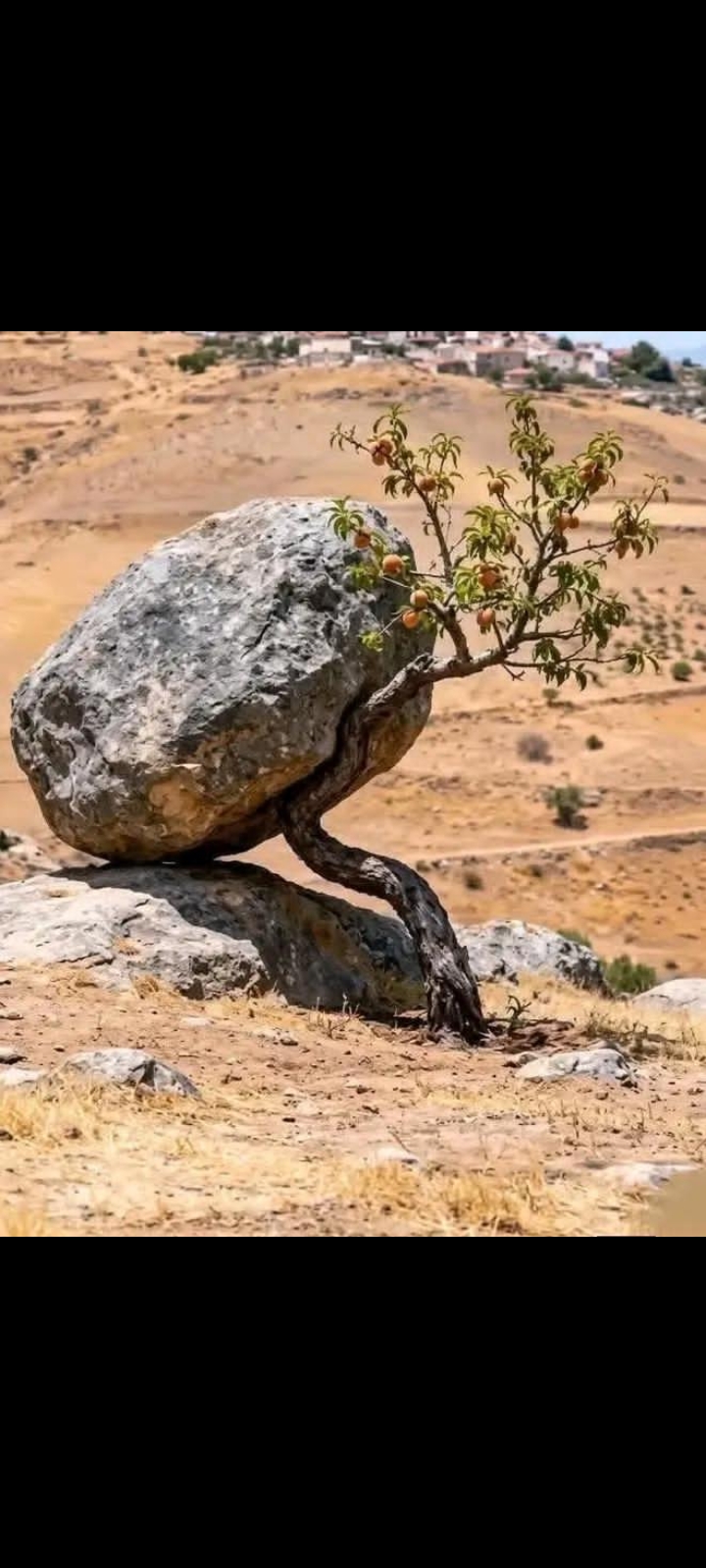 امداد الله