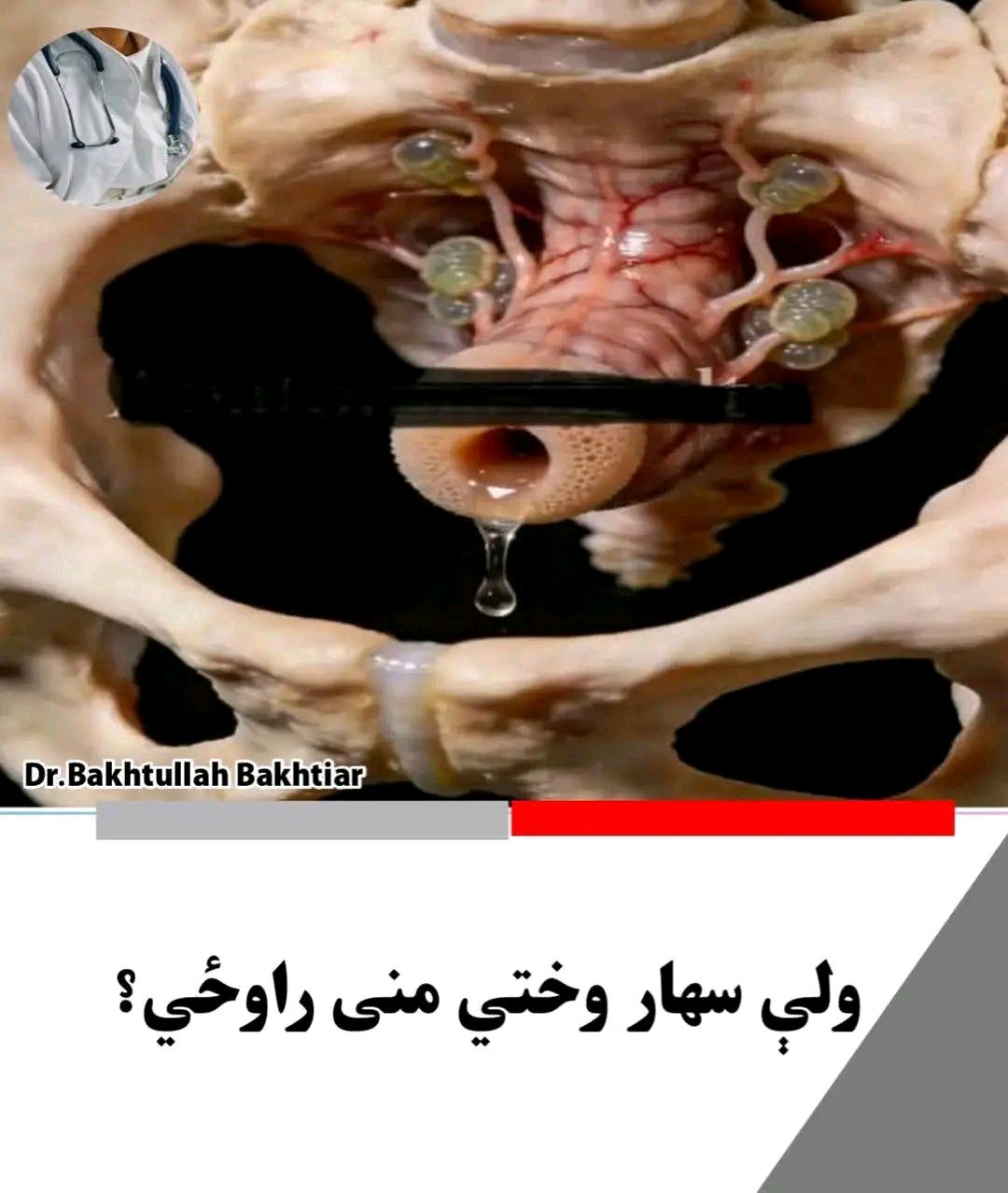 ریس خادیم