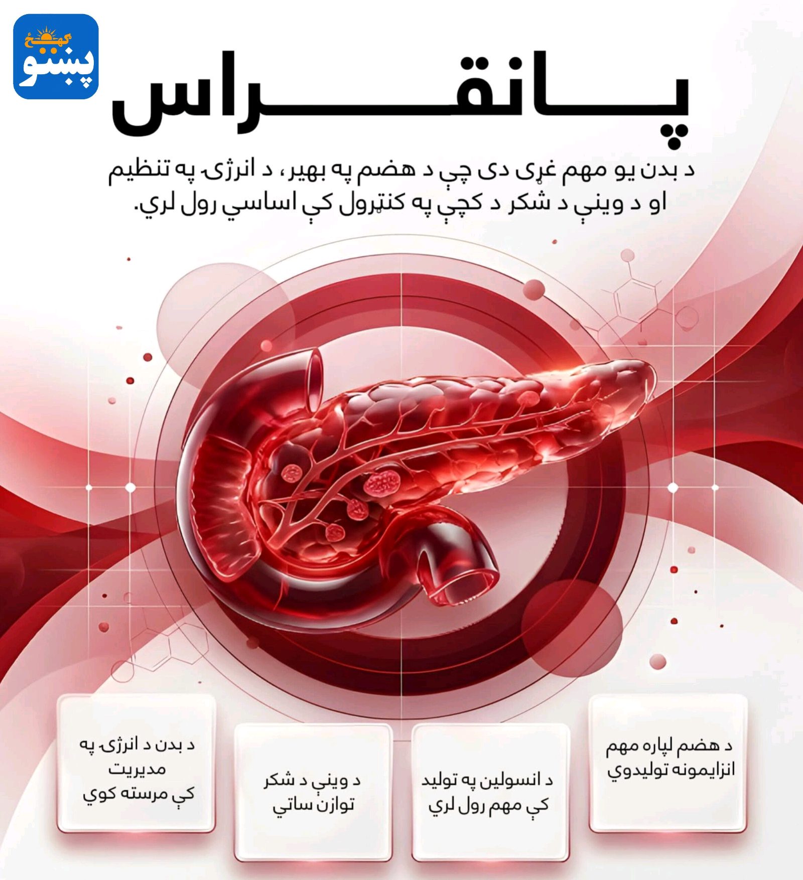 پښتو ګهيځ