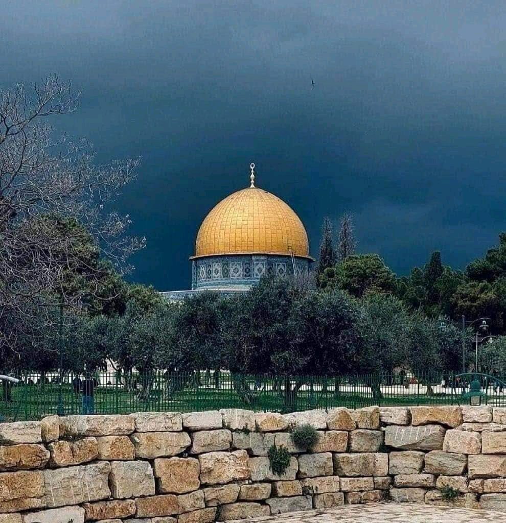 لیکوال بوکسر