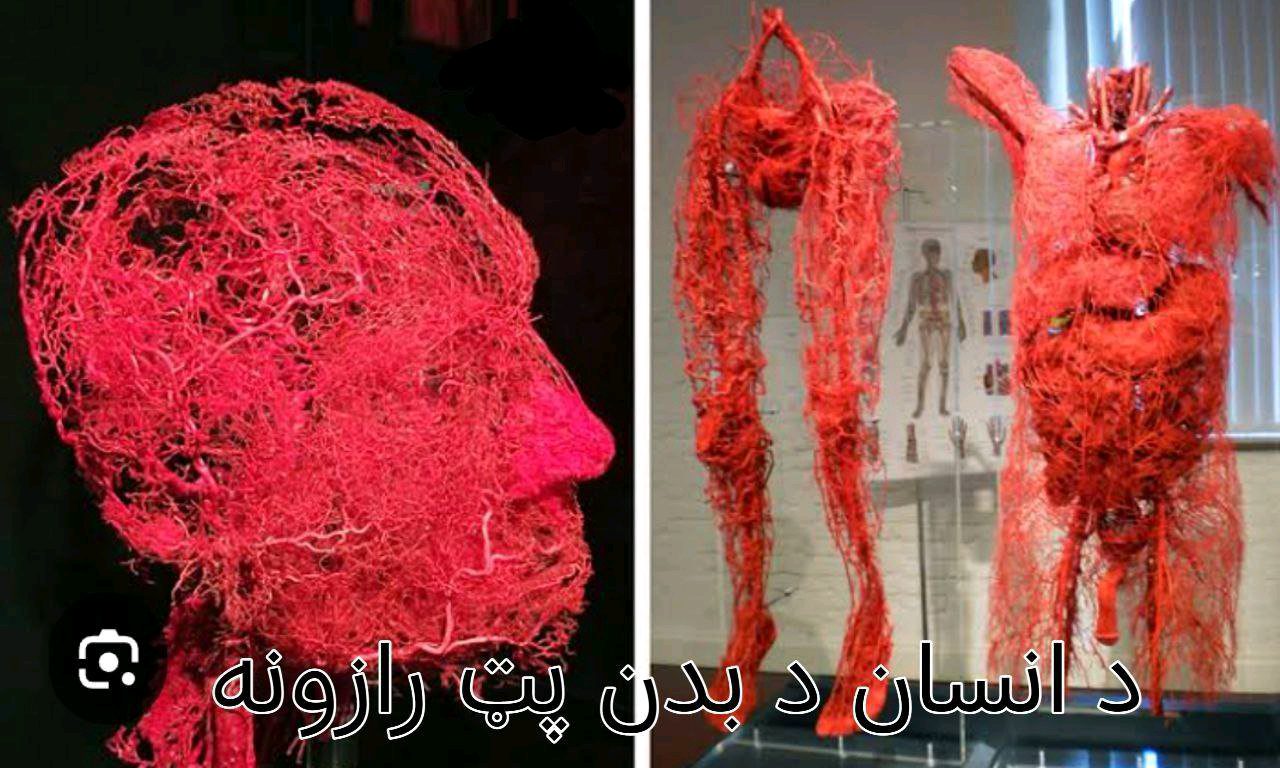 ریس خادیم