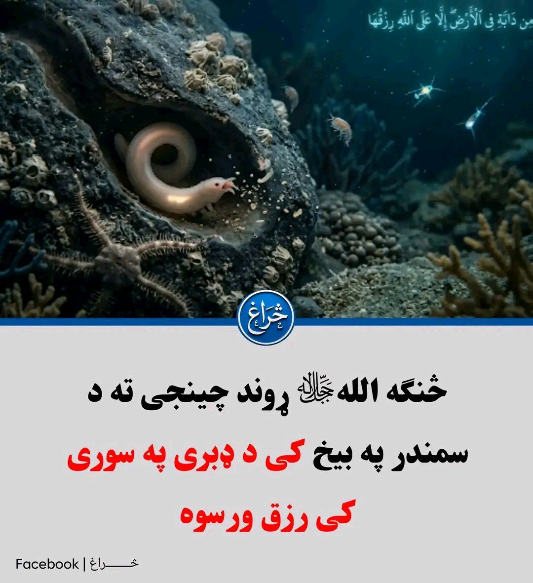 ریس خادیم