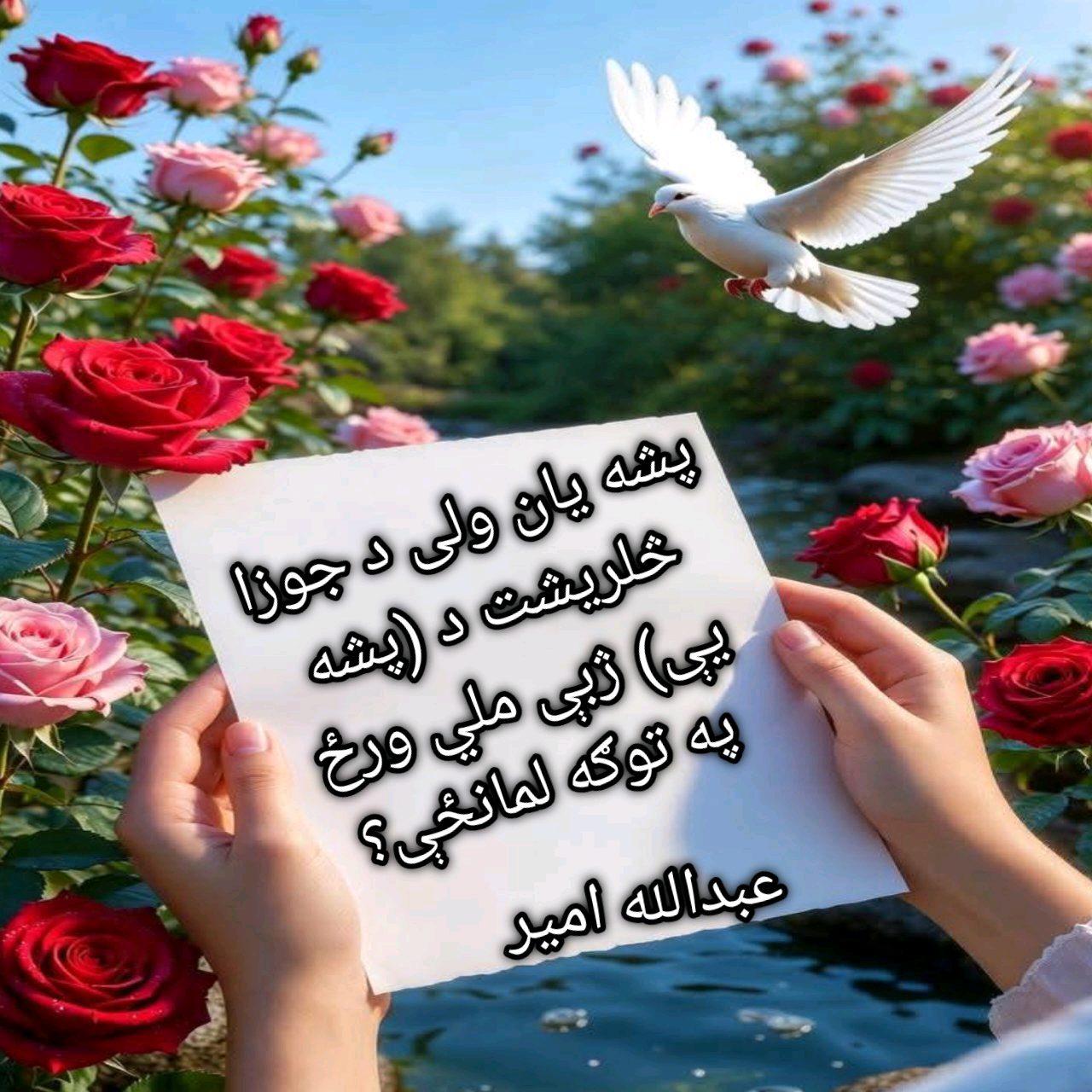 عبدالله امير