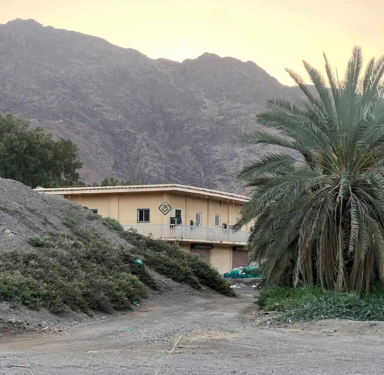 قريشي صاب