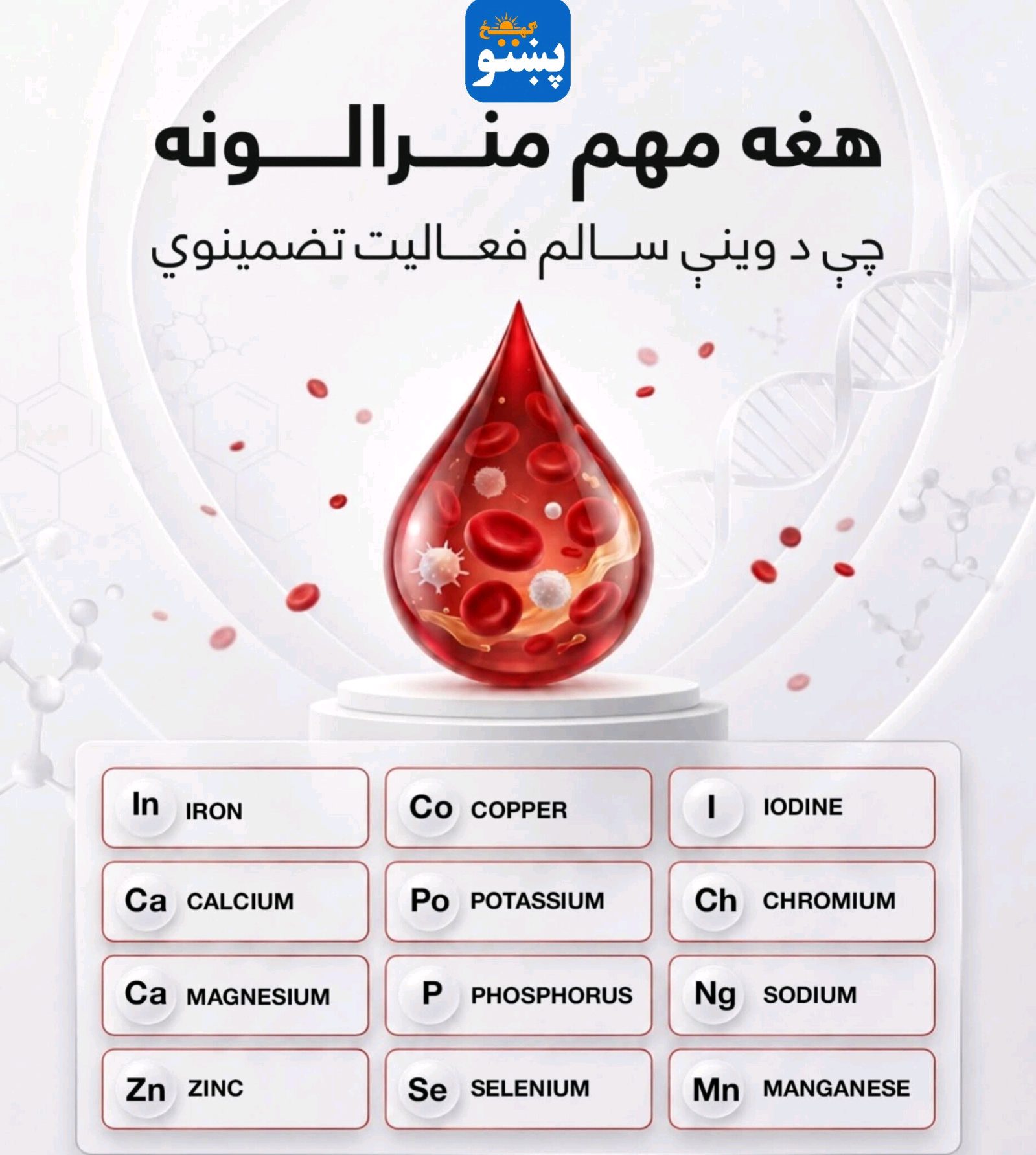 پښتو ګهيځ