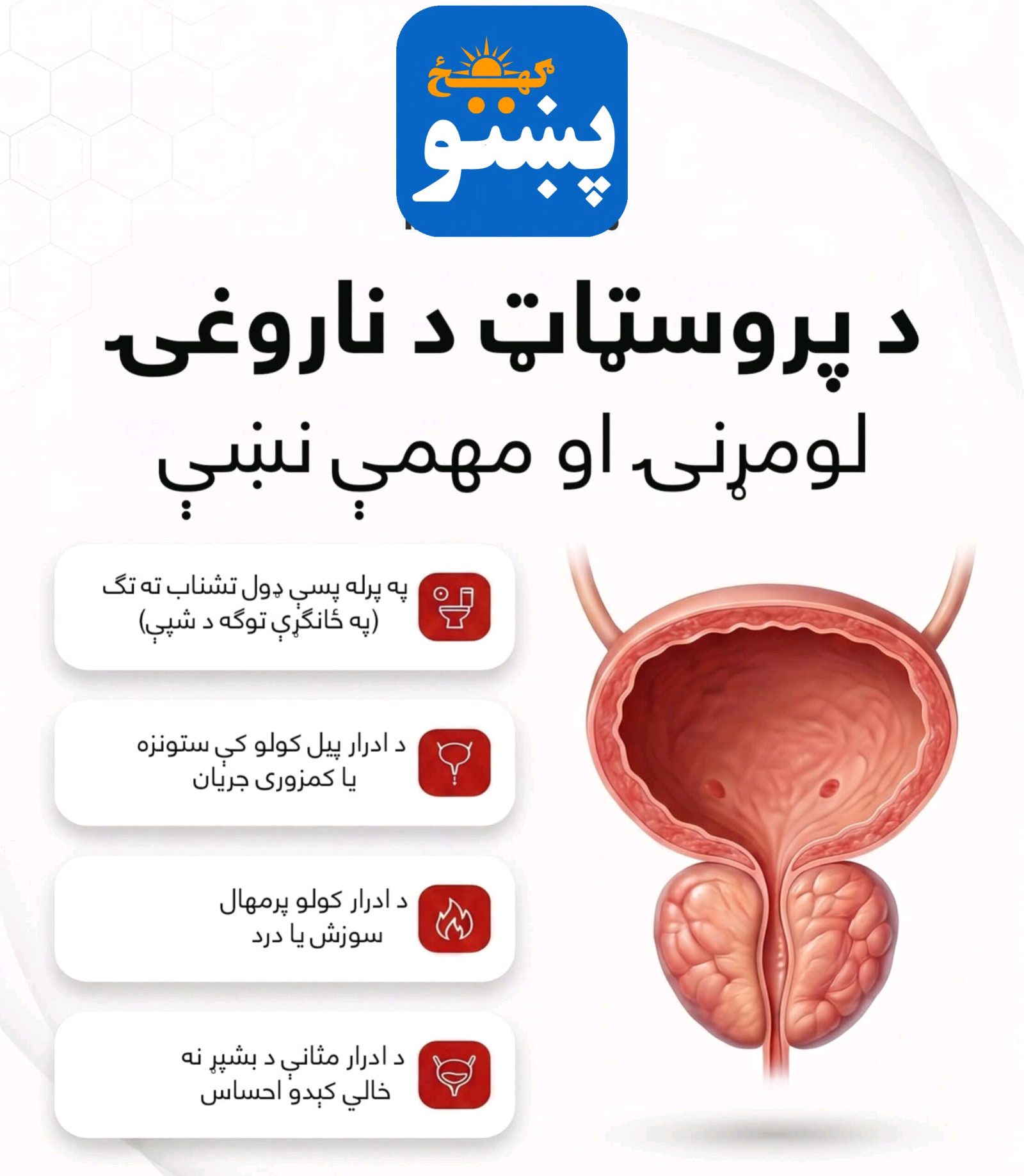 پښتو ګهيځ