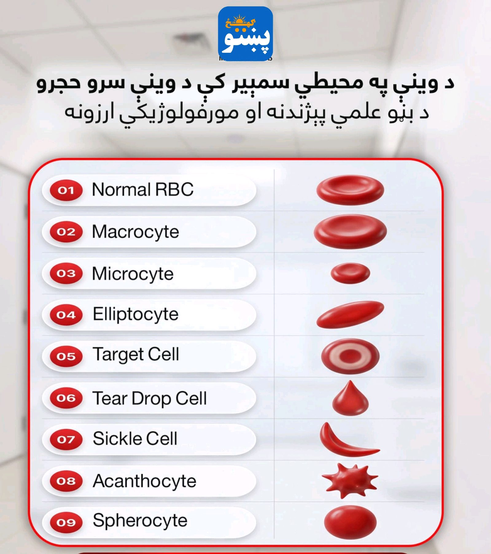 پښتو ګهيځ