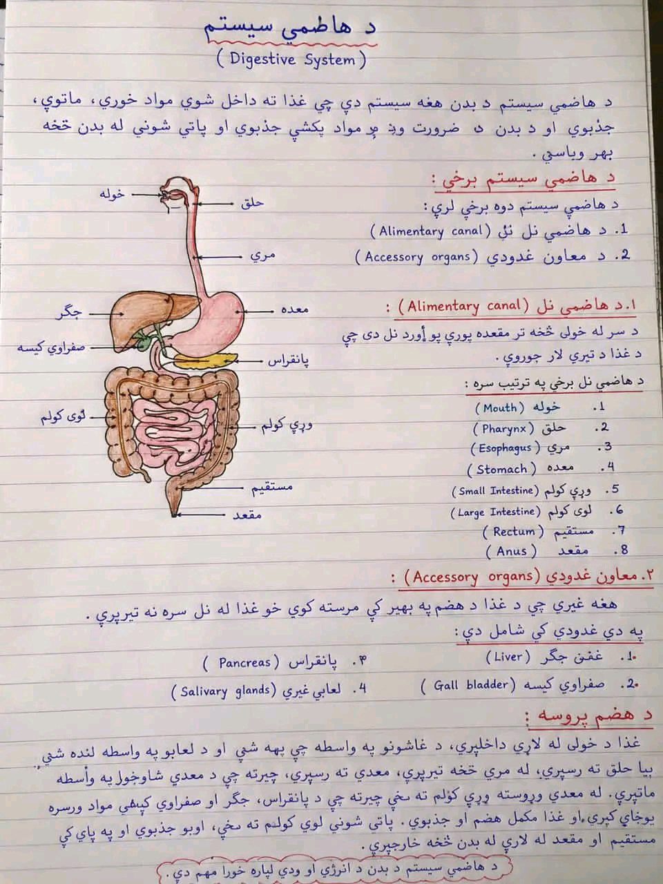 ریس خادیم