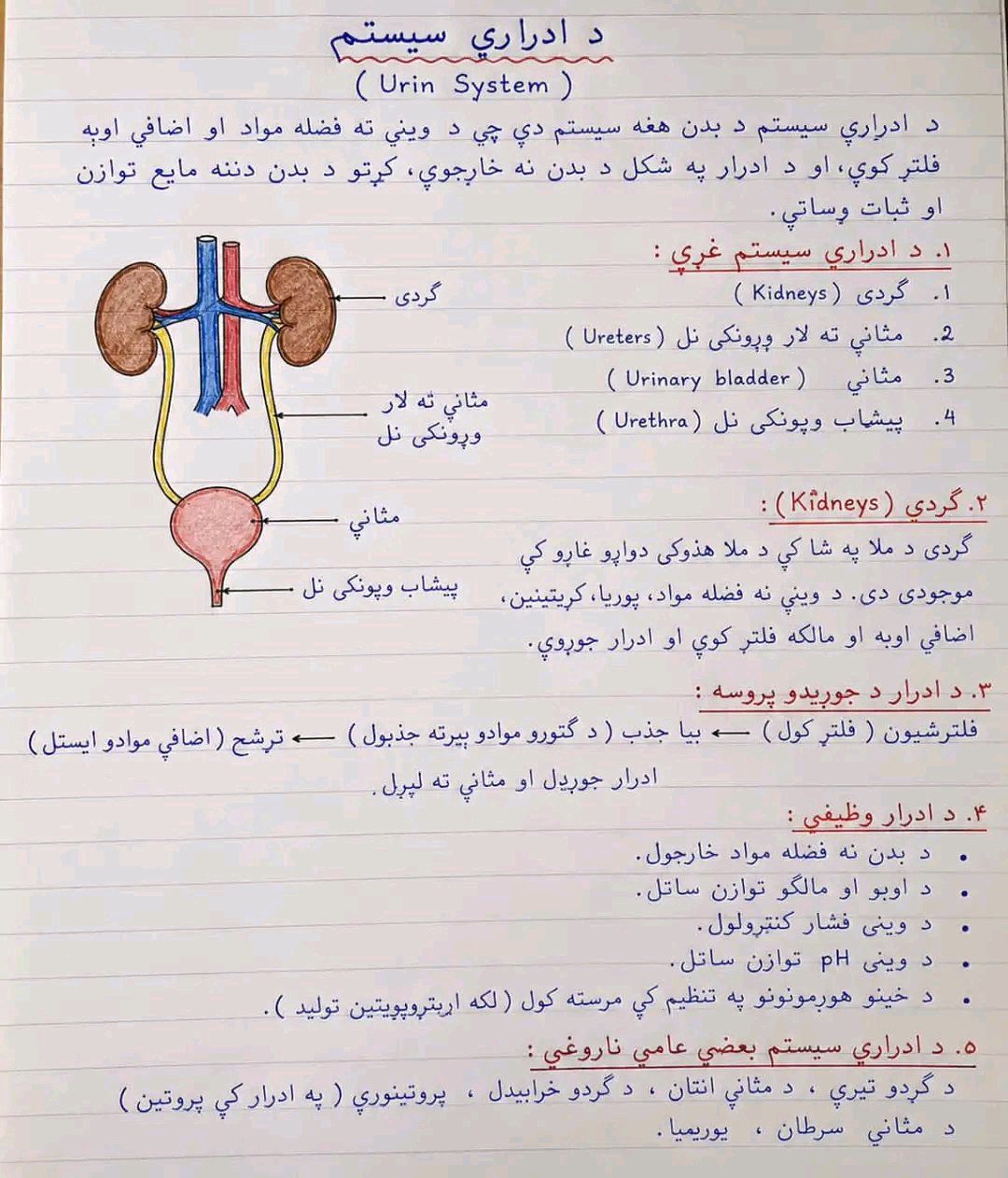 ریس خادیم
