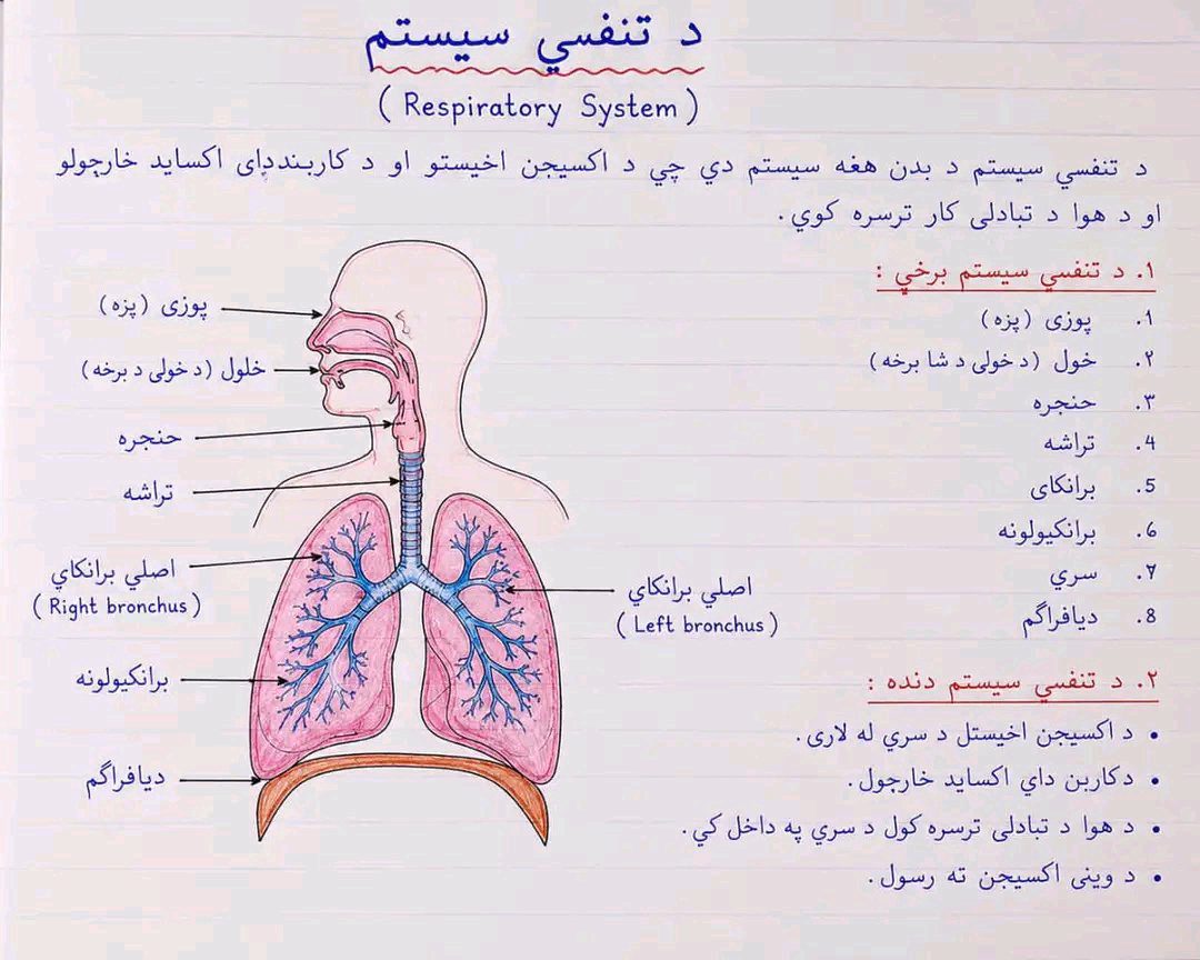 ریس خادیم