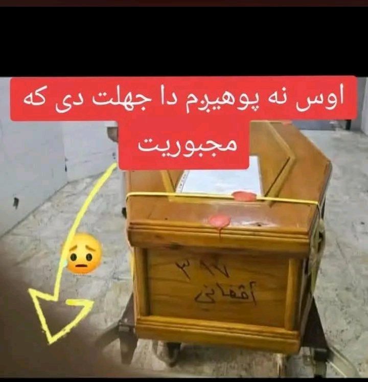 جاويد شينواري