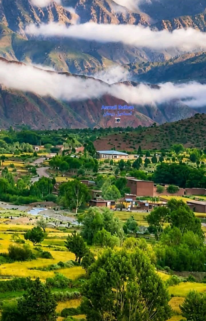 شاعر حنفي کوچی