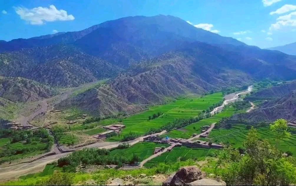 شاعر حنفي کوچی