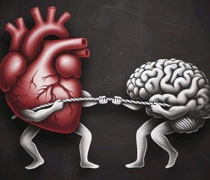 حمیدالله صالحی