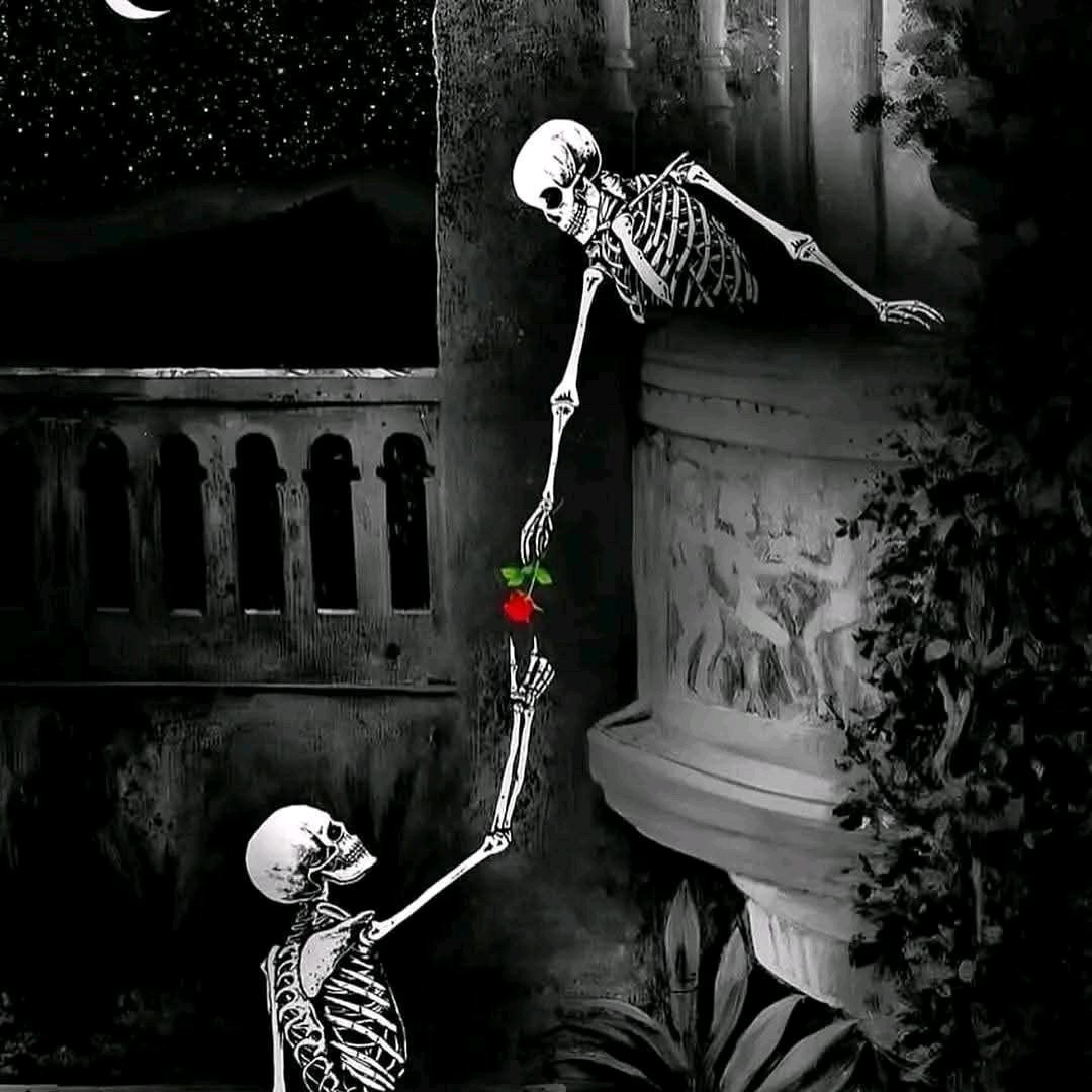 ریس خادیم