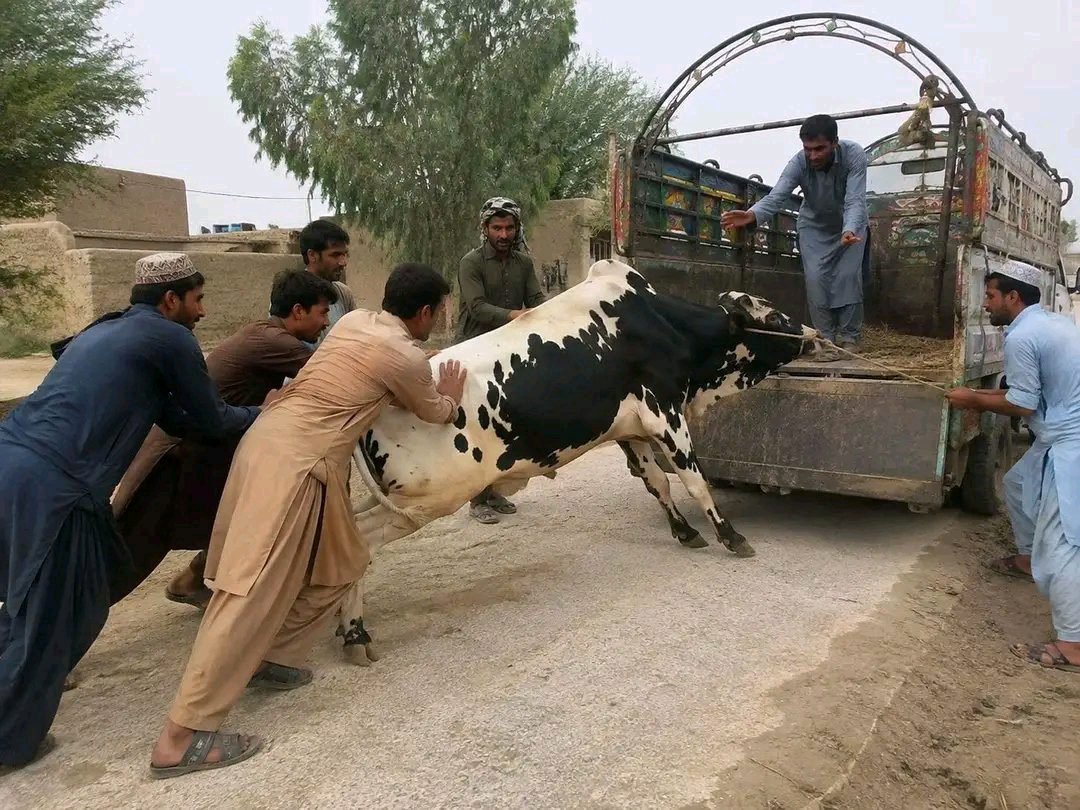 ریس خادیم