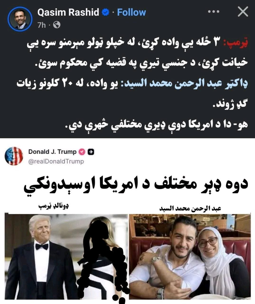 سعادت صدیقی