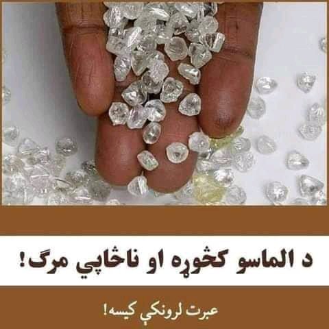 حمیدالله صالحی