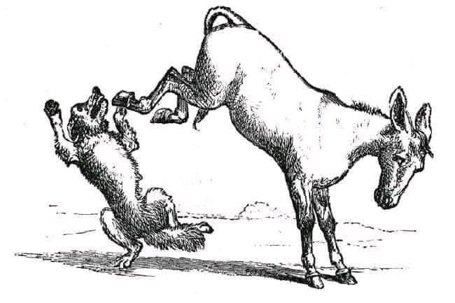 ریس خادیم