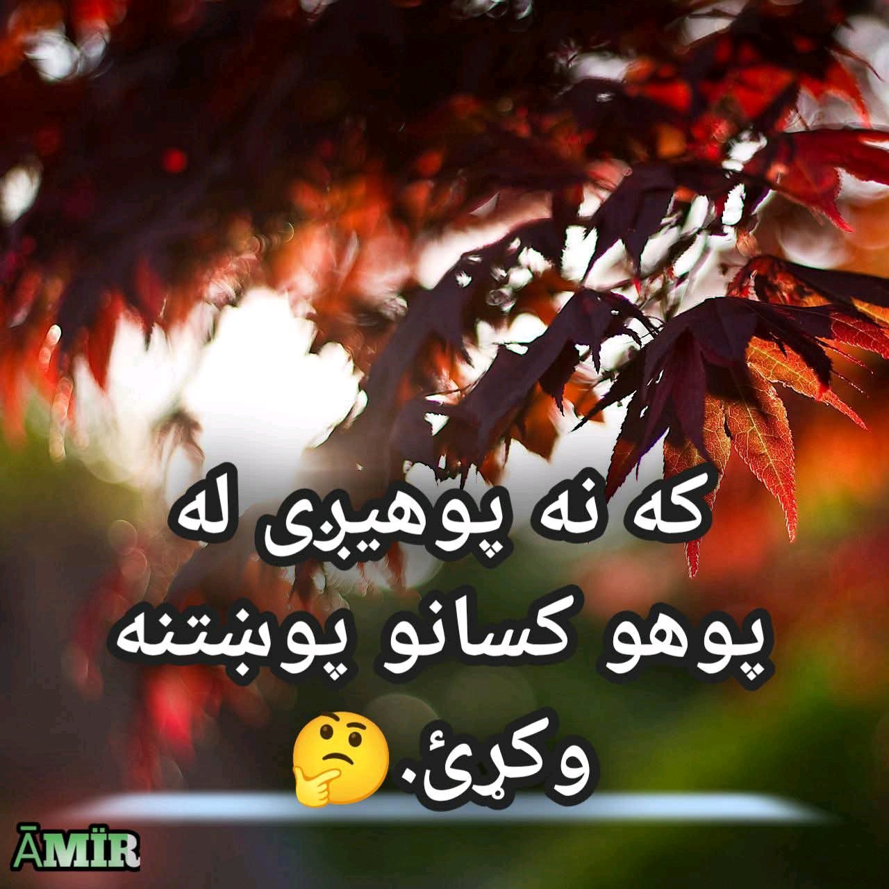 عبدالله امير