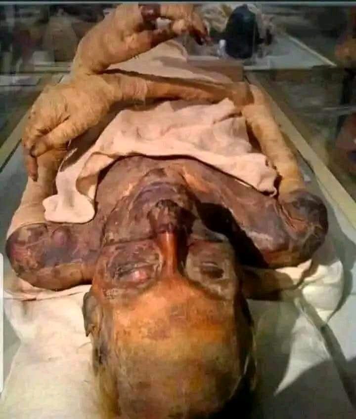 عبدالله امير