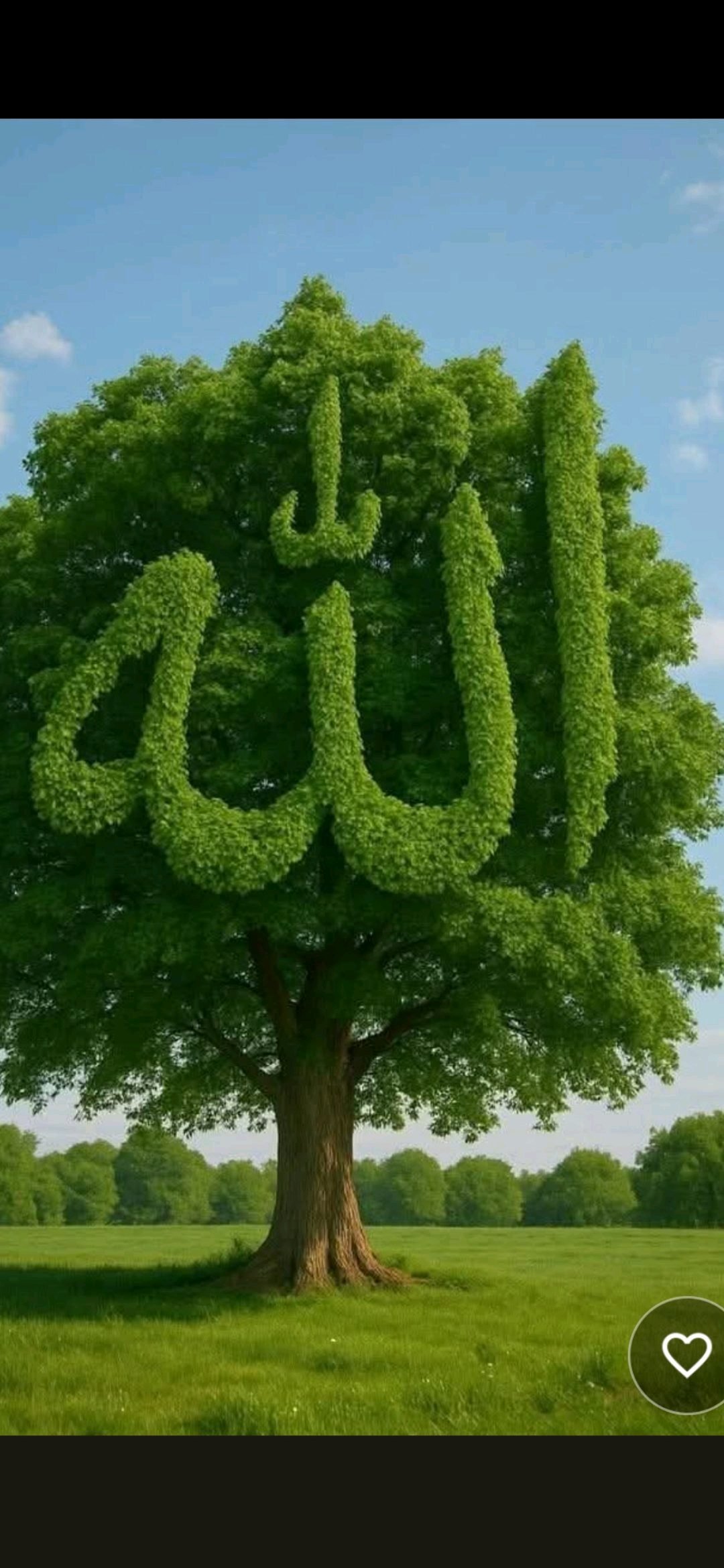 اکرم الله