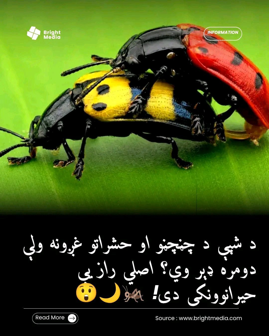 ریس خادیم