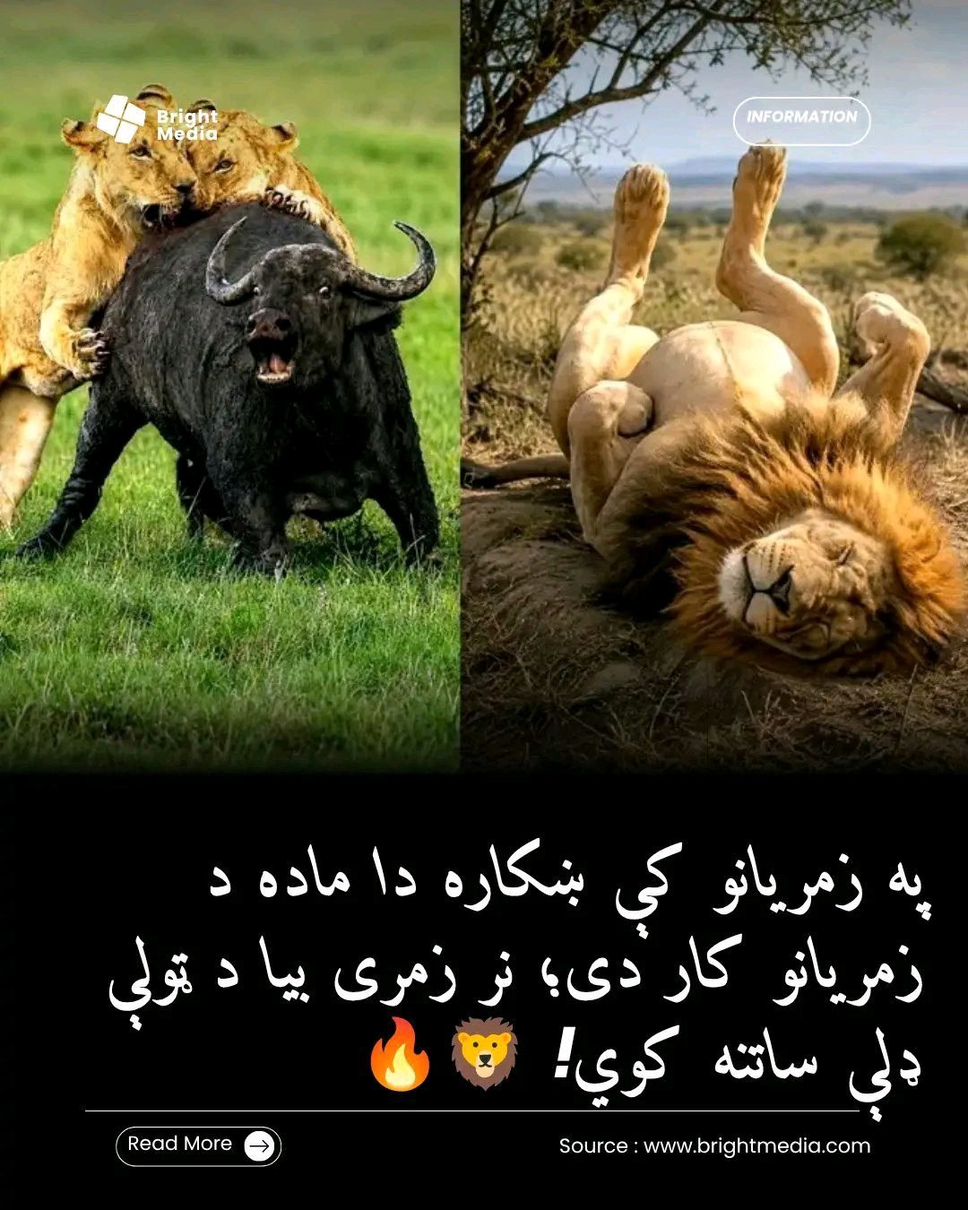 ریس خادیم