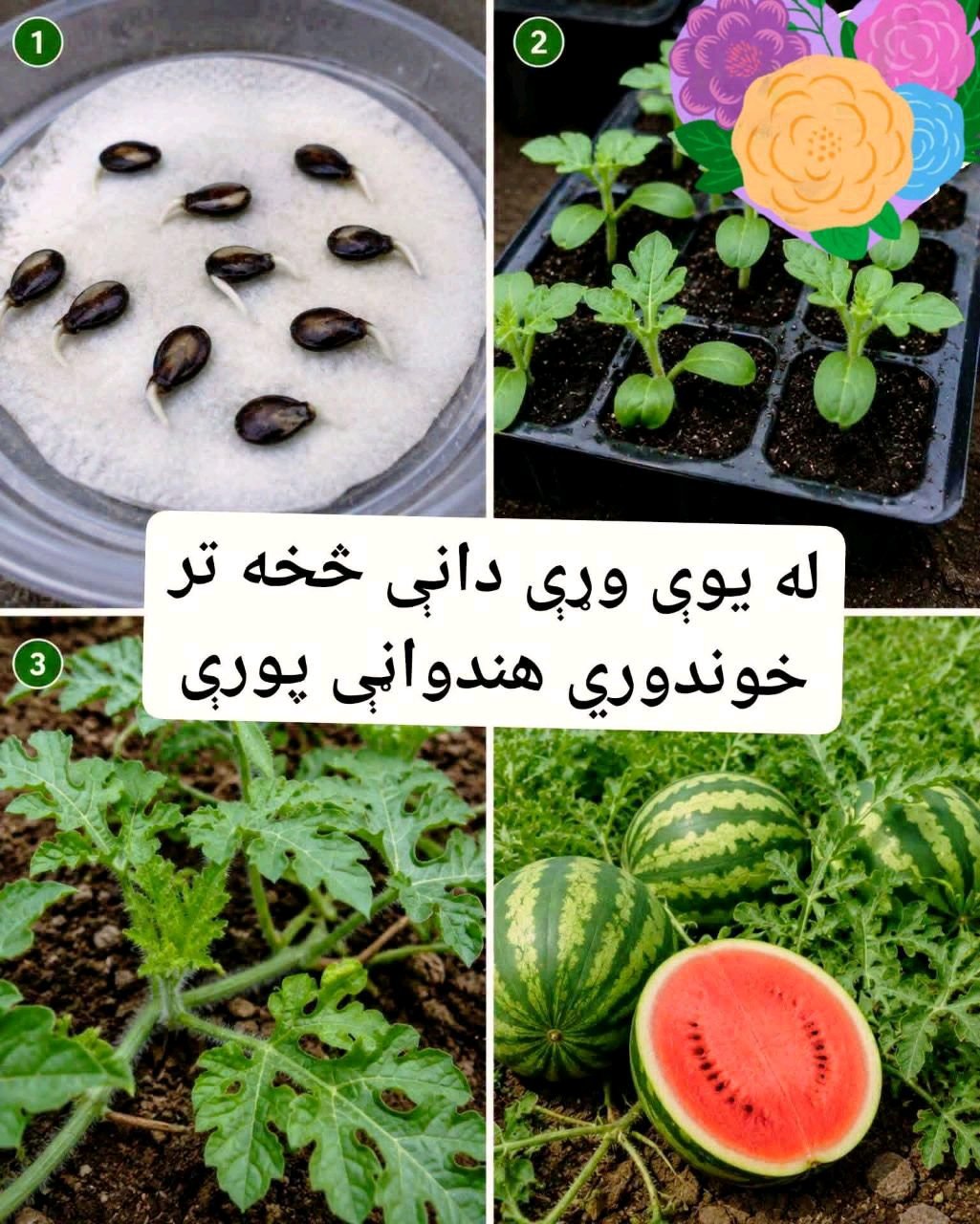 ریس خادیم