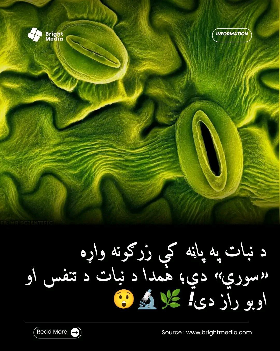 ریس خادیم