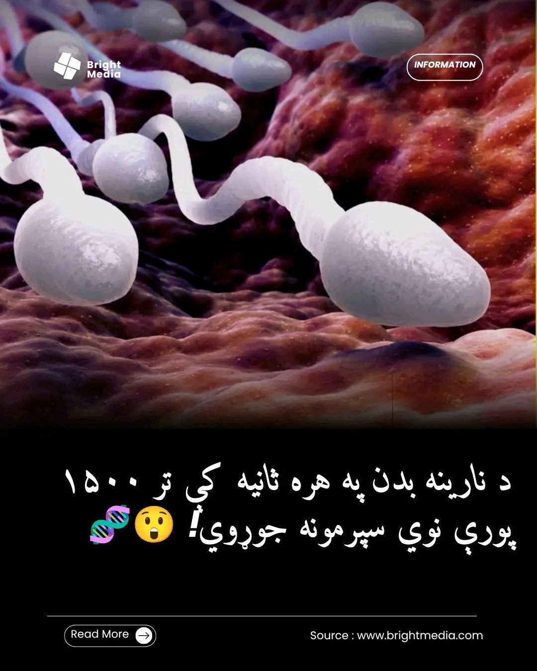 ریس خادیم