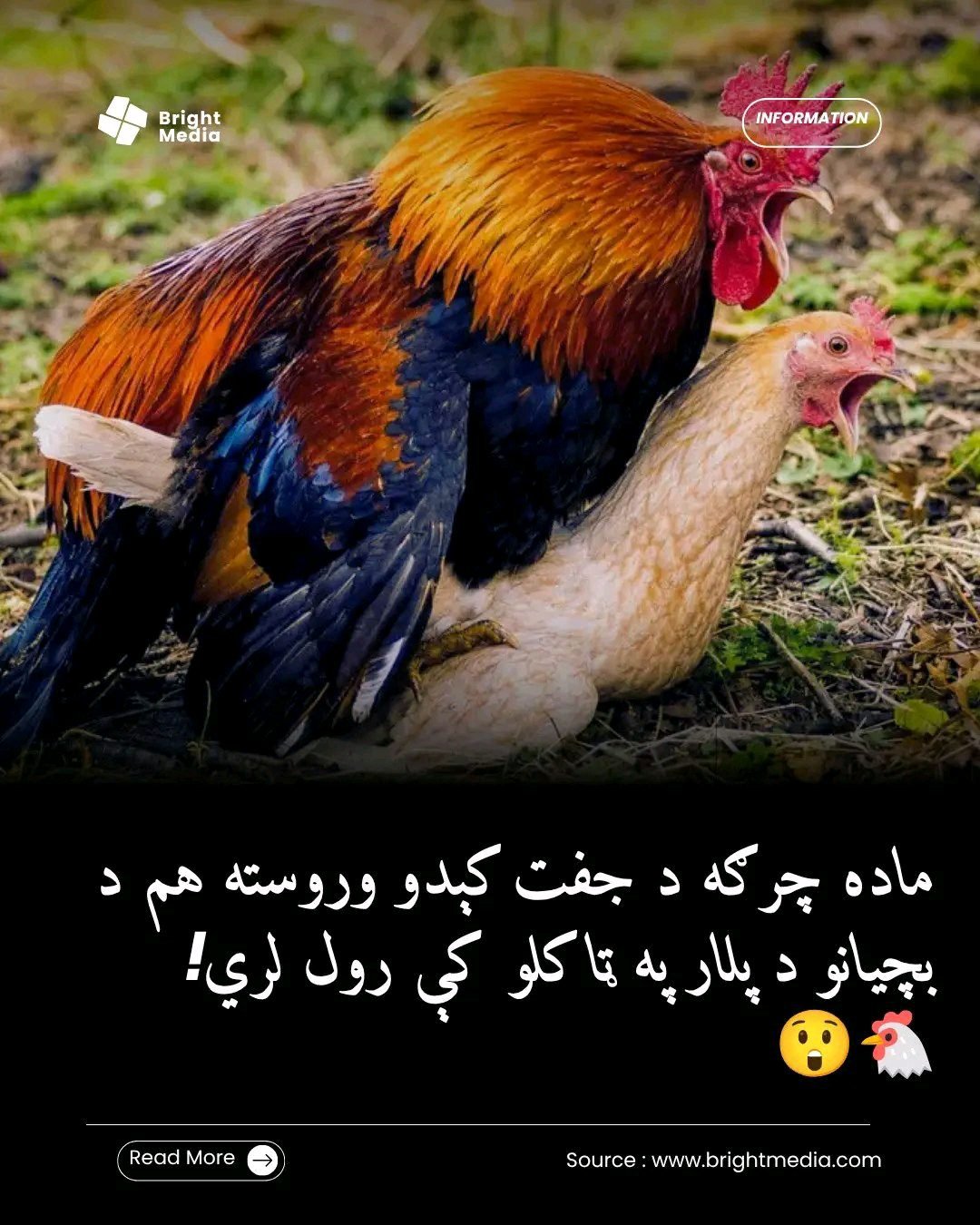 ریس خادیم