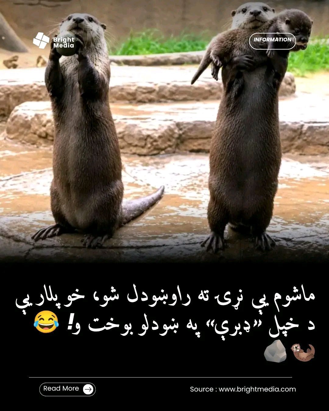 ریس خادیم