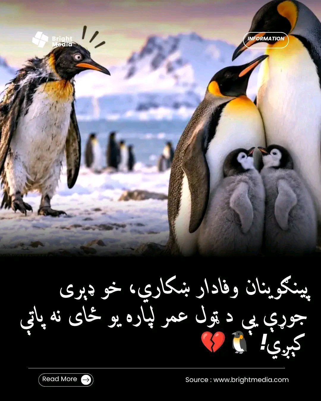 ریس خادیم