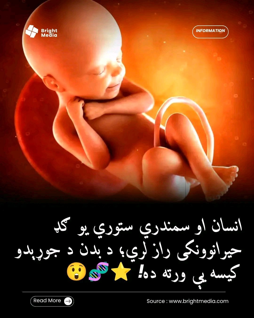 ریس خادیم