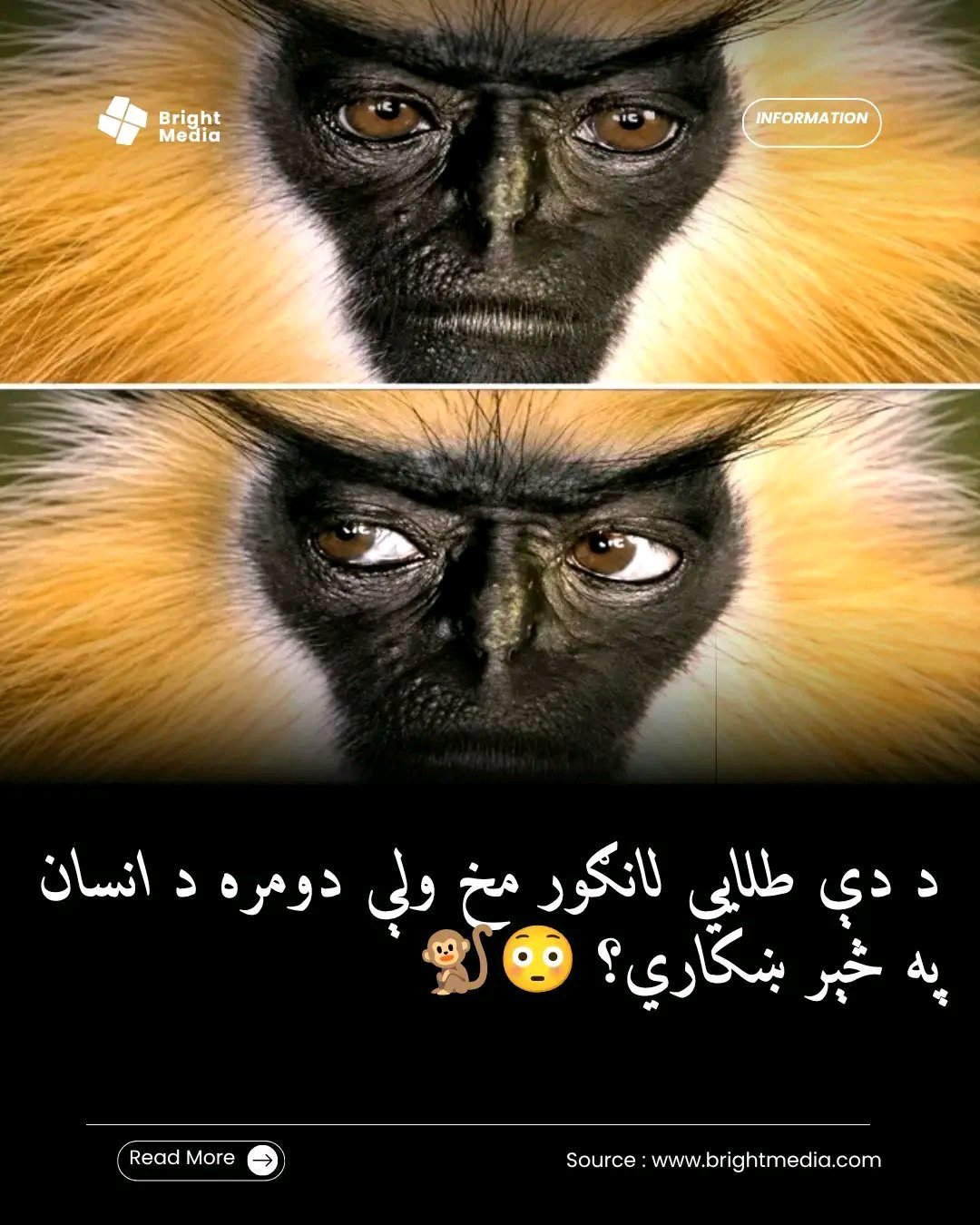 ریس خادیم