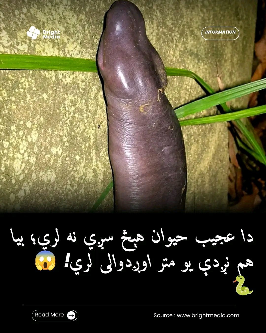 ریس خادیم