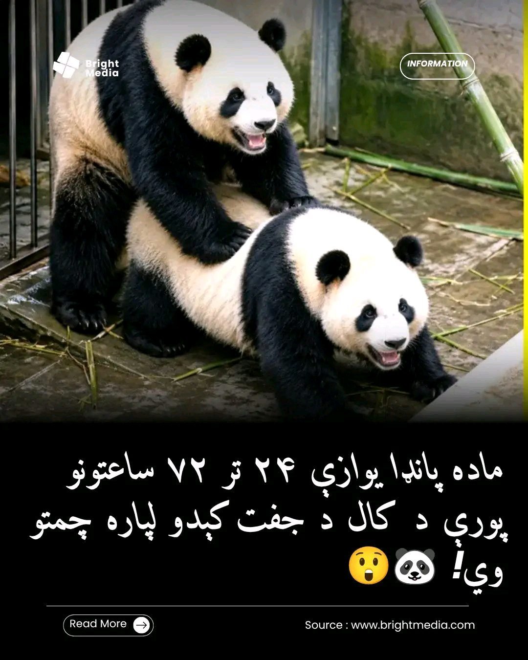 ریس خادیم