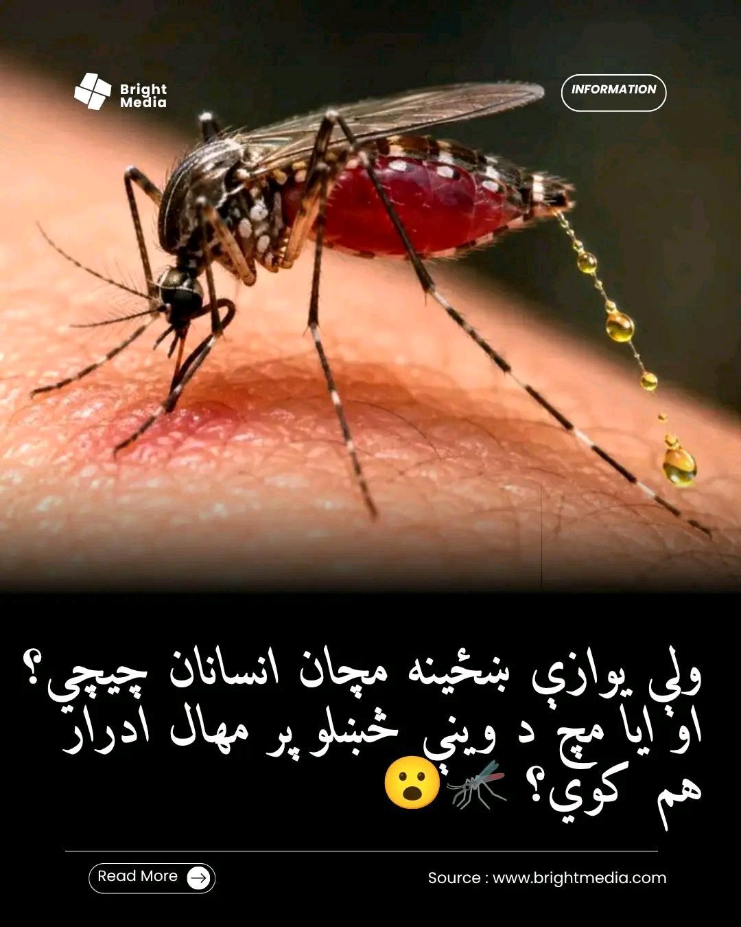 ریس خادیم