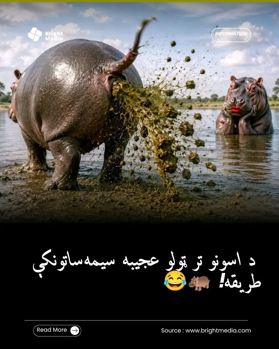 ریس خادیم