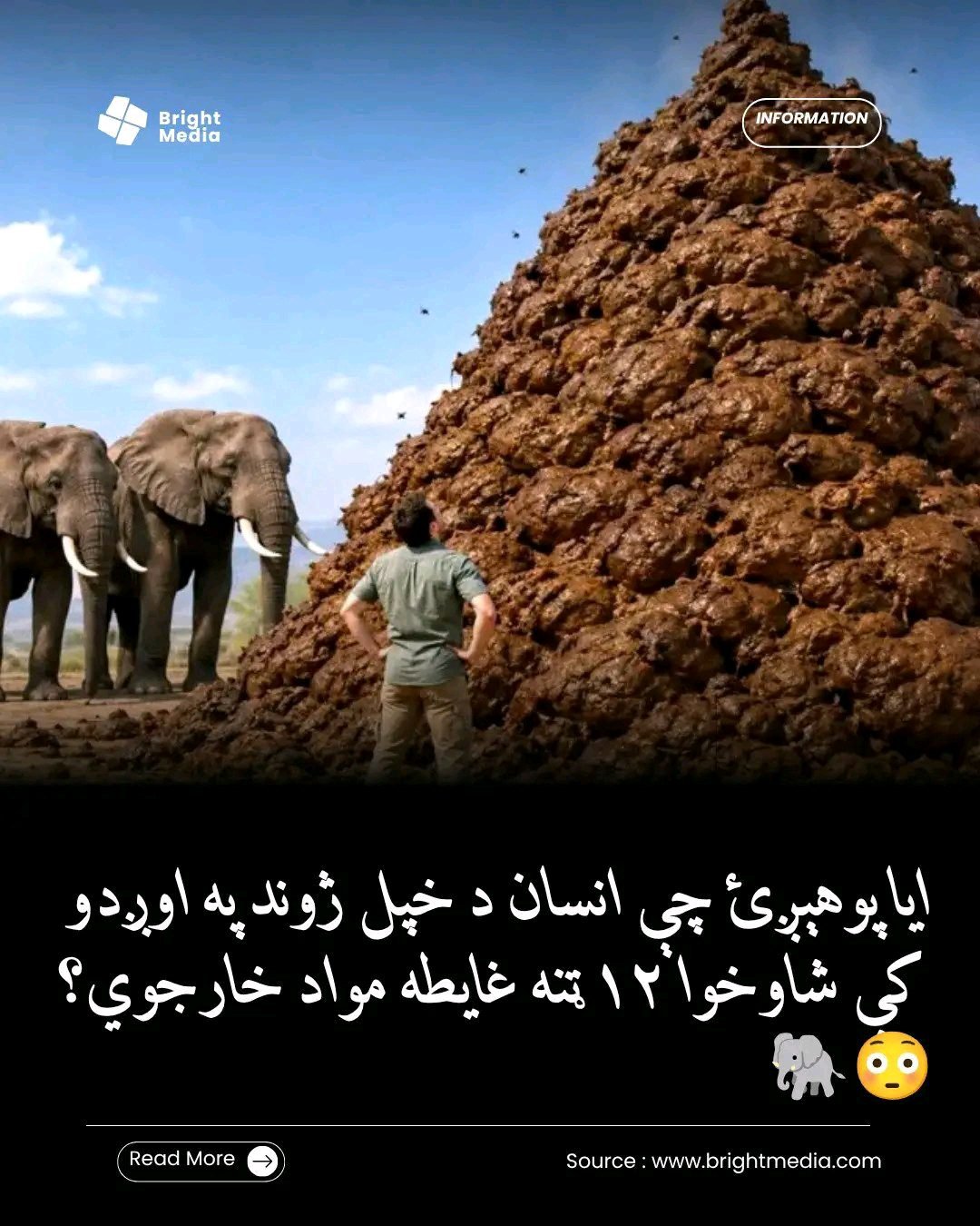 ریس خادیم