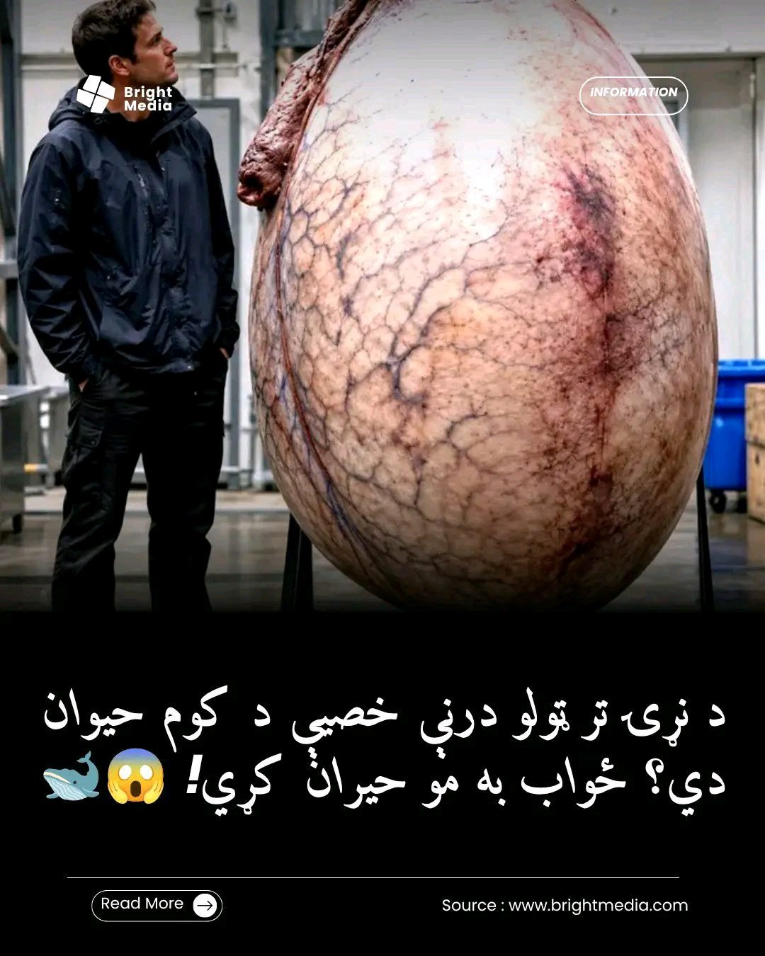 ریس خادیم