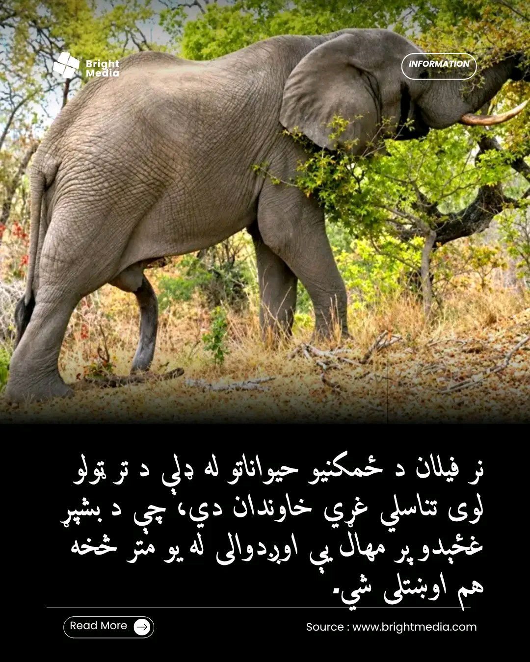 ریس خادیم