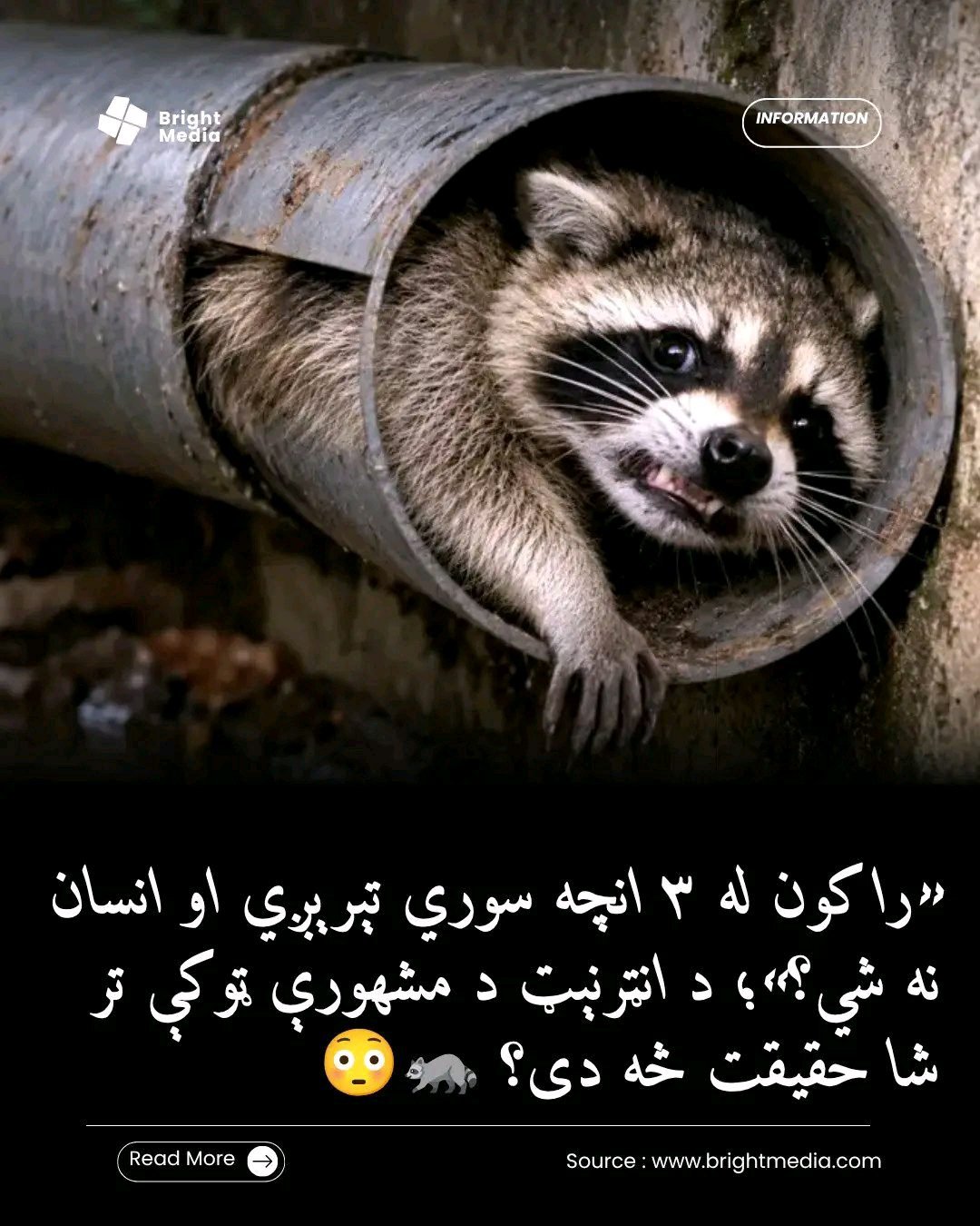 ریس خادیم