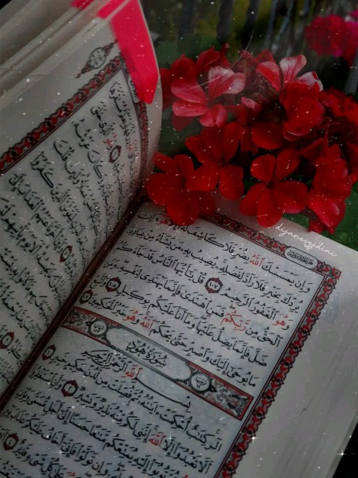 د هدایت لار