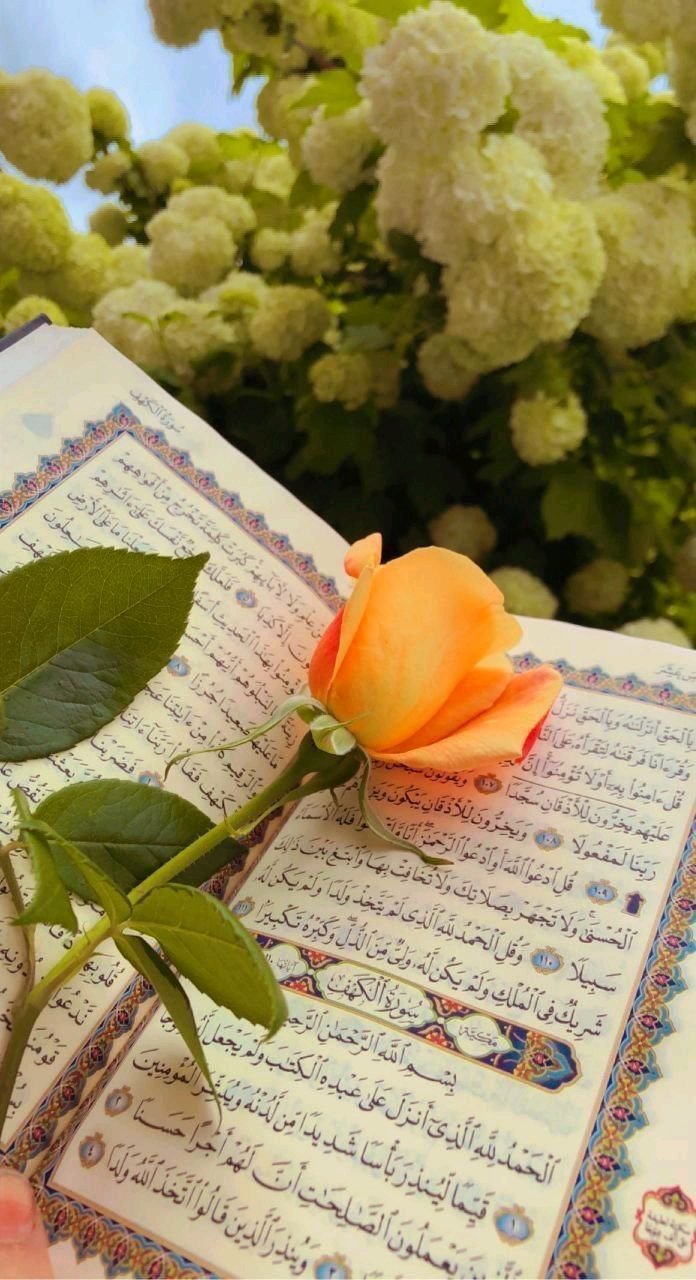 د هدایت لار