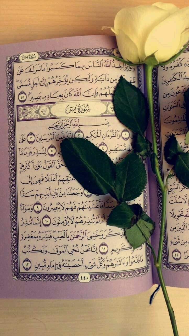 د هدایت لار